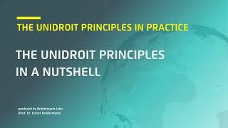 Unidroit Principles in a nutshell 1of 13