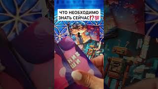 ЧТО НЕОБХОДИМО ЗНАТЬ СЕЙЧАС⁉️ #shorts #таросегодня #гадание #раскладтаро #гаданиетаро #тароонлайн