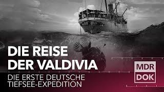 Die Reise der Valdivia - Die erste deutsche Tiefsee-Expedition  MDR DOK