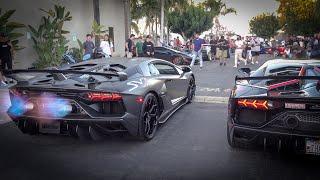 CRAZY FLAMES Lamborghini Aventador SVJ w Gintani Exhaust 