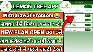 Lemon Tree Earning App  Lemon Tree Earning App Withdrawal Problem  Lemon Tree App New update