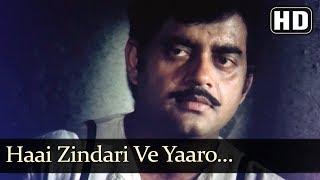 Haai Zindari Ve Yaaro HD - Vishwanath Song - Pran - Shatrughan Sinha - Reena Roy - Sulochana