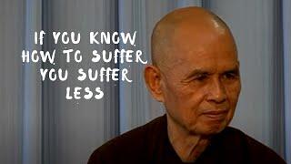 If You Know How to Suffer You Suffer Less  Dharma Talk by Thich Nhat Hanh 2013.07.29