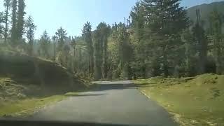 Himachal Pradesh Tourism - Way to Shikari Devi Temple Janjehli Mandi Himachal Pradesh India.