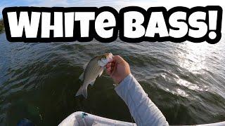 TROLLING a JET DIVER for WHITE BASS