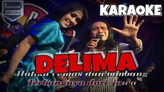 Delima Karaoke New Pallapa