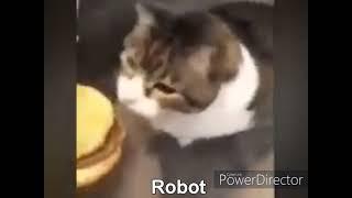 Here kitty you can has cheeseburger but its autotuned