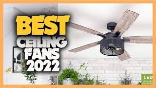 12 Best Ceiling Fans 2022