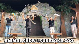 pertunjukkan binatang  animal show di suraloka zoo kaliurang yogyakarta
