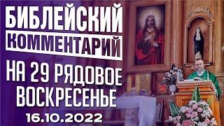 Библейский комментарий на 29 рядовое воскресенье 16.10.2022