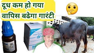 गाय भैंस का दूध बढ़ाने का  No1 फार्मूलाHow To Increase Cow Buffalo Milk