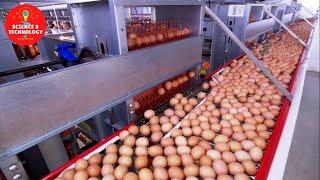 Incredible Largest and High-Tech Egg Factory in China and Thailand-Modern Technology Food Processing