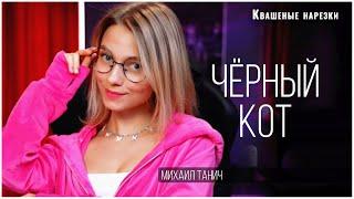 Чёрный кот  - Квашеная cover Тамара Миансарова