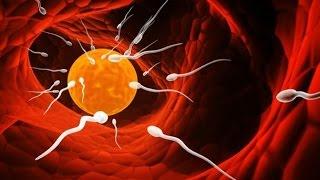 Aşılama intrauterin inseminasyon işlemi nasıl yapılır?