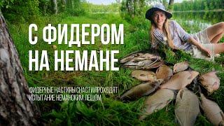 ЛЕЩ клюет Фидерная РЫБАЛКА на реке НЕМАН в Беларуси. Настины Снасти #2