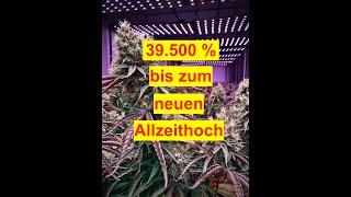 39.500 % bis zum Allzeithoch mit Aurora Cannabis & 15.500 % bei Tilray Brands