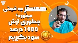 همستر یک دلار میشه؟ بعد لیست شدن همستر چطوری ازش سود بگیریم؟