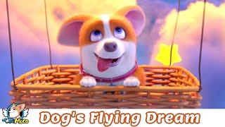 House Has a Short-leg   Dogs Flying Dream 想飛的狗  FlyingMOCO Fun Cartoon飞狗MOCO家有小短腿2022