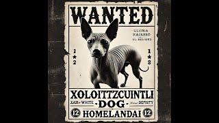 The Aztec Hairless Dog Mystique & Mankind #aztec #dogs #shorts  #Xoloitzcuintli