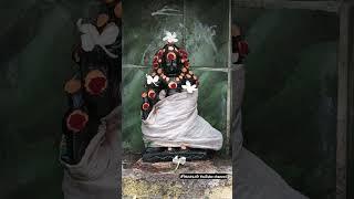 முருகன் பாடல்  murugan song #viralvideo #trending #murugangod #god #murugan #devotional #vpl