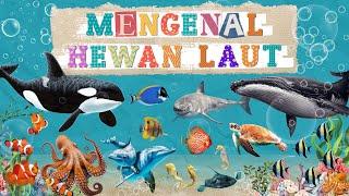 Mengenal Nama-Nama Hewan Laut  Nama Hewan Laut Dalam Bahasa Inggris