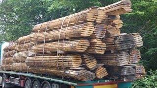 Schnittholz fällt von Sattelzug - Mangelnde Ladungssicherung