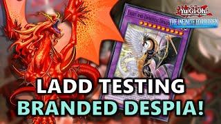 Light and Darkness Dragon Lord LADD Testing in Branded Despia POST INFO Format  July 2024