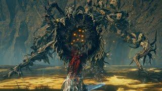 Elden Ring Erdtree DLC - Scadutree Avatar Boss Fight 4K