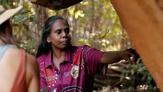Kingfisher Tours  Narrated  Discover Aboriginal Experiences  Tourism Australia