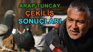 Arap Tuncay Kuşunu Kime Hediye Etti? - Ala Türkiye Güvercin Çekilişi Sonuçları