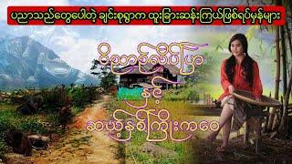 ဝိညာဥ်လိပ်ပြာ နှင့် ဆယ့်နှစ်ကြိုးကဝေ