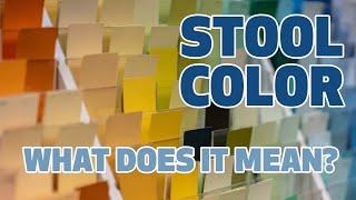 Stool Color Meaning  Houston Methodist