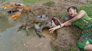 Primitive Life - Primitive Skills Dig Mud Hole to Build Crabs Trap - Catch Crab After Flood