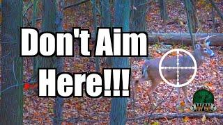 YOURE AIMING WRONG Deer Shot Placement  Archery Deer Hunting Tip