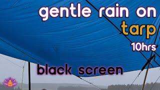 Black Screen Gentle Rain on Tarp No Thunder  Rain Sounds for Sleeping