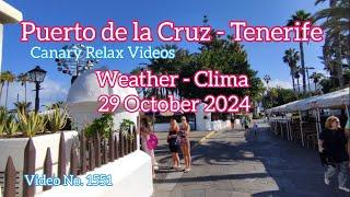 Tenerife ️ Puerto de la Cruz Morning Weather 29 October 2024 Teneriffa