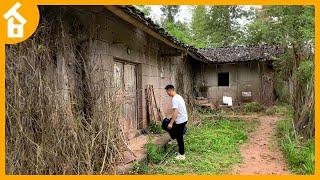 Leaving City - Renovating an Abandoned Stone House in the forest TRANSFORMED Time Lapse