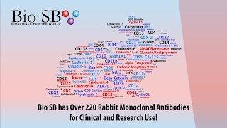 Bio SB Inc. - Rabbit Monoclonal Antibodies