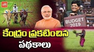 Central Government New Schemes In Budget 2019  PM Modi  Telangana News  AP News  YOYO TV Channel