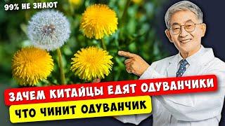 Тайное оружие Китайцев от Сотни Болезней Что чинит Одуванчик...