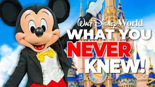 Top 10 Things You Didnt Know You Could Do at Walt Disney World