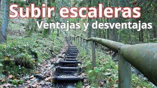 Subir escaleras como ejercicio  ventajas y desventajas