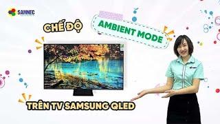 Cách sử dụng chế độ Ambient Mode trên TV Samsung Qled  Samnec Điện Máy