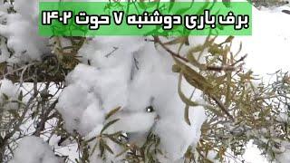 برف باری امروز طبیعت تشنه را سیراب و به مردم امید داد