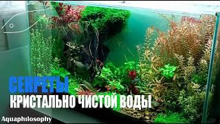 Кристально чистая вода в аквариуме. Секреты