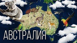 Материк Австралия Самый маленький континент на Планете Земля  Интересные факты про Австралию