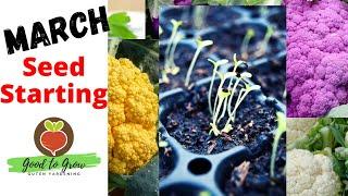 Vegetables to Plant in March  Zone 5 Seed Starting Indoors Gardening 101  Zone 5 Gardening