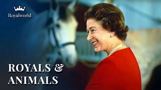 Royals And Animals Til Death Do Us Part  Royal Documentary