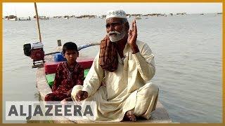  How toxic water destroyed Pakistans Lake Manchar  Al Jazeera English