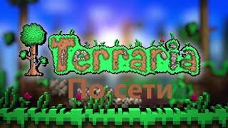 Как играть в Terraria по сети с другом.